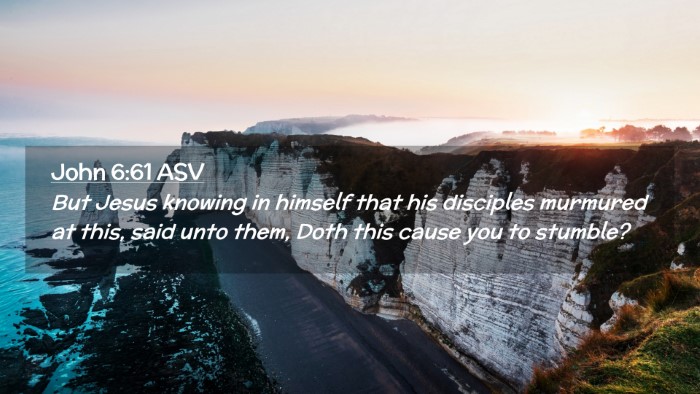 Picture 02 - John 6:61 ASV Desktop Wallpaper - But Jesus knowing in himself that his disciples - Desktop Bible Verse Wallpaper