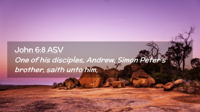 Picture 02 - John 6:8 ASV Desktop Wallpaper - One of his disciples, Andrew, Simon Peter's - Desktop Bible Verse Wallpaper