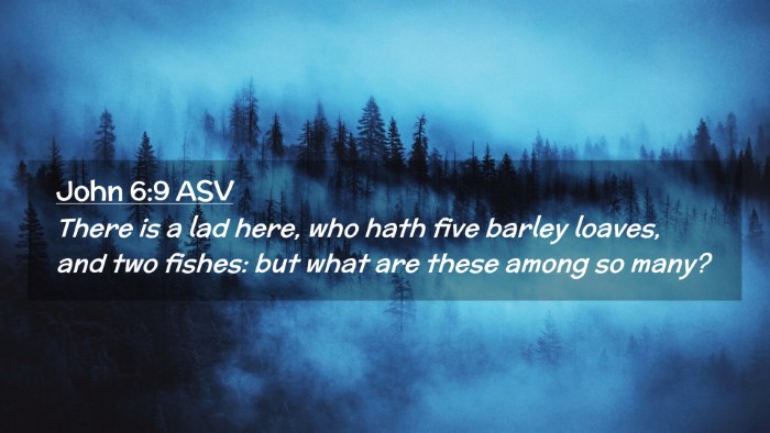 Picture 02 - John 6:9 ASV Desktop Wallpaper - There is a lad here, who hath five barley loaves, - Desktop Bible Verse Wallpaper