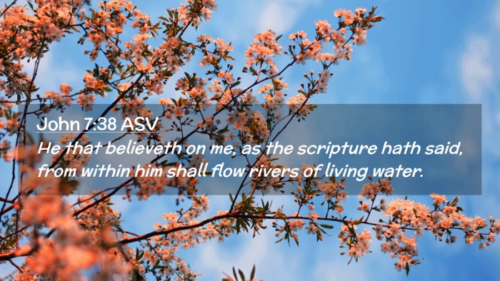 Picture 02 - John 7:38 ASV Desktop Wallpaper - He that believeth on me, as the scripture hath - Desktop Bible Verse Wallpaper