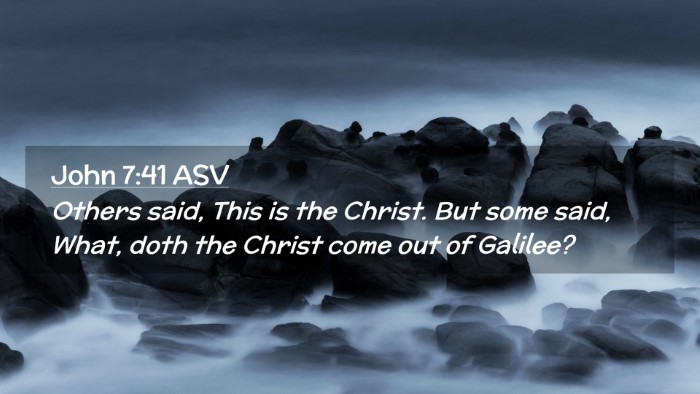 Picture 02 - John 7:41 ASV Desktop Wallpaper - Others said, This is the Christ. But some said, - Desktop Bible Verse Wallpaper