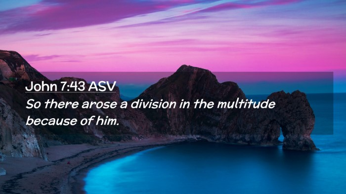 Picture 02 - John 7:43 ASV Desktop Wallpaper - So there arose a division in the multitude - Desktop Bible Verse Wallpaper