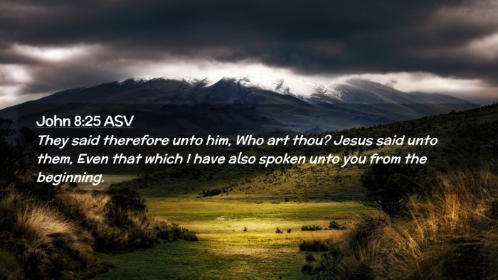 Picture 02 - John 8:25 ASV Desktop Wallpaper - They said therefore unto him, Who art thou? Jesus - Desktop Bible Verse Wallpaper