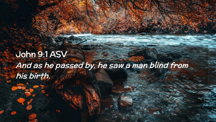 Picture 02 - John 9:1 ASV Desktop Wallpaper - And as he passed by, he saw a man blind from his - Desktop Bible Verse Wallpaper