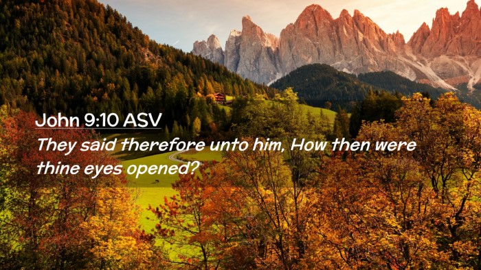 Picture 02 - John 9:10 ASV Desktop Wallpaper - They said therefore unto him, How then were thine - Desktop Bible Verse Wallpaper