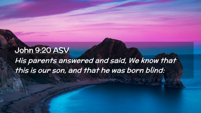 Picture 02 - John 9:20 ASV Desktop Wallpaper - His parents answered and said, We know that this - Desktop Bible Verse Wallpaper