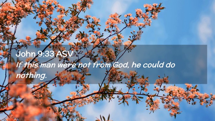 Picture 02 - John 9:33 ASV Desktop Wallpaper - If this man were not from God, he could do - Desktop Bible Verse Wallpaper