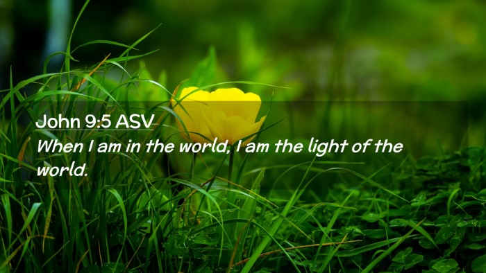 Picture 02 - John 9:5 ASV Desktop Wallpaper - When I am in the world, I am the light of the - Desktop Bible Verse Wallpaper