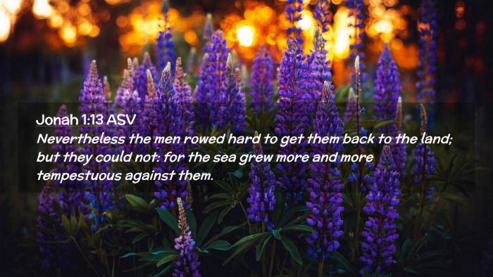 Picture 02 - Jonah 1:13 ASV Desktop Wallpaper - Nevertheless the men rowed hard to get them back - Desktop Bible Verse Wallpaper
