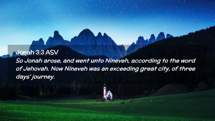 Picture 02 - Jonah 3:3 ASV Desktop Wallpaper - So Jonah arose, and went unto Nineveh, according - Desktop Bible Verse Wallpaper