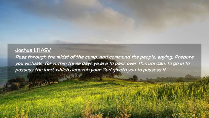 Picture 02 - Joshua 1:11 ASV Desktop Wallpaper - Pass through the midst of the camp, and command - Desktop Bible Verse Wallpaper