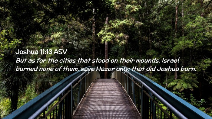 Picture 02 - Joshua 11:13 ASV Desktop Wallpaper - But as for the cities that stood on their mounds, - Desktop Bible Verse Wallpaper