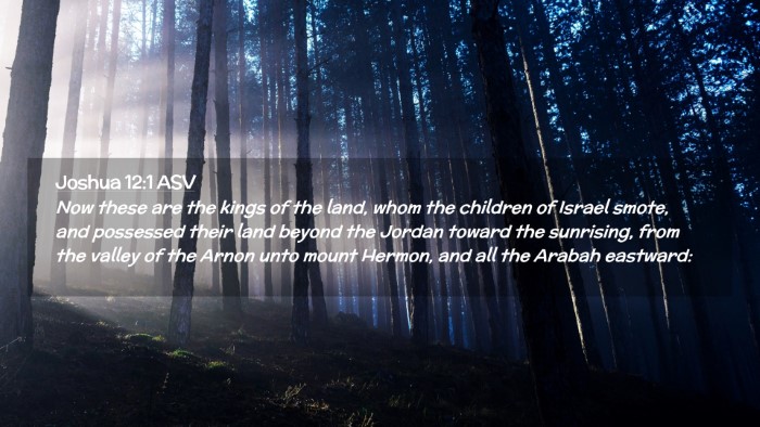 Picture 02 - Joshua 12:1 ASV Desktop Wallpaper - Now these are the kings of the land, whom the - Desktop Bible Verse Wallpaper