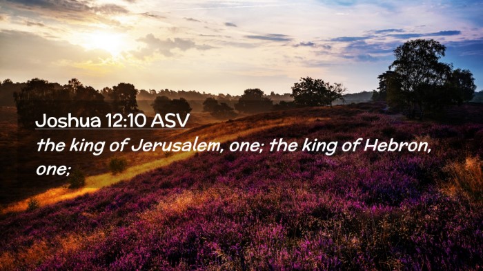 Picture 02 - Joshua 12:10 ASV Desktop Wallpaper - the king of Jerusalem, one; the king of Hebron, - Desktop Bible Verse Wallpaper