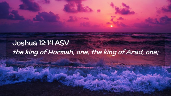 Picture 02 - Joshua 12:14 ASV Desktop Wallpaper - the king of Hormah, one; the king of Arad, - Desktop Bible Verse Wallpaper