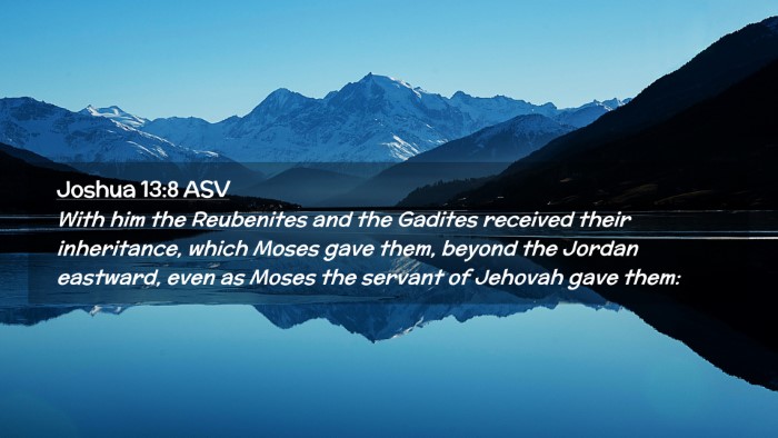 Picture 02 - Joshua 13:8 ASV Desktop Wallpaper - With him the Reubenites and the Gadites received - Desktop Bible Verse Wallpaper