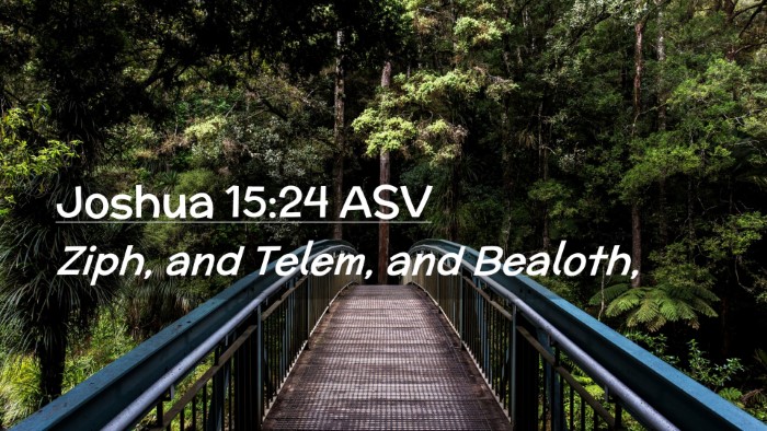Picture 02 - Joshua 15:24 ASV Desktop Wallpaper - Ziph, and Telem, and - Desktop Bible Verse Wallpaper