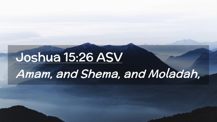 Picture 02 - Joshua 15:26 ASV Desktop Wallpaper - Amam, and Shema, and - Desktop Bible Verse Wallpaper