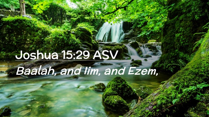 Picture 02 - Joshua 15:29 ASV Desktop Wallpaper - Baalah, and Iim, and - Desktop Bible Verse Wallpaper
