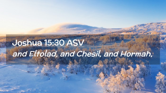 Picture 02 - Joshua 15:30 ASV Desktop Wallpaper - and Eltolad, and Chesil, and - Desktop Bible Verse Wallpaper