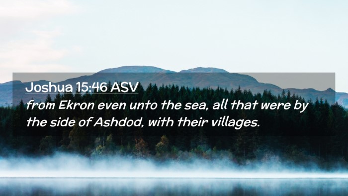 Picture 02 - Joshua 15:46 ASV Desktop Wallpaper - from Ekron even unto the sea, all that were by - Desktop Bible Verse Wallpaper