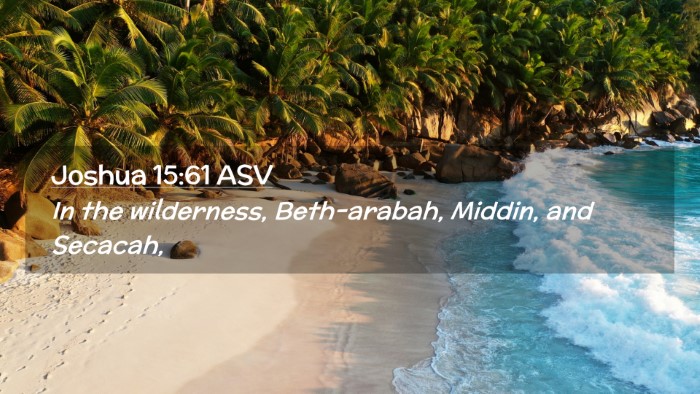 Picture 02 - Joshua 15:61 ASV Desktop Wallpaper - In the wilderness, Beth-arabah, Middin, and - Desktop Bible Verse Wallpaper