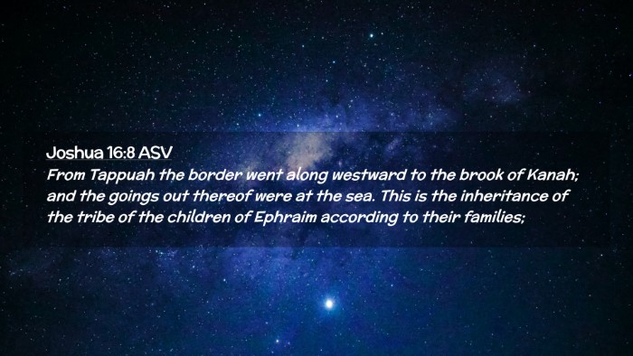 Picture 02 - Joshua 16:8 ASV Desktop Wallpaper - From Tappuah the border went along westward to - Desktop Bible Verse Wallpaper