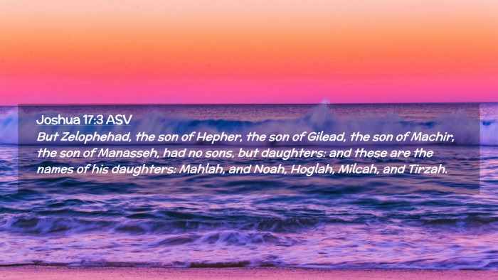 Picture 02 - Joshua 17:3 ASV Desktop Wallpaper - But Zelophehad, the son of Hepher, the son of - Desktop Bible Verse Wallpaper