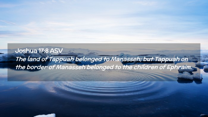 Picture 02 - Joshua 17:8 ASV Desktop Wallpaper - The land of Tappuah belonged to Manasseh; but - Desktop Bible Verse Wallpaper