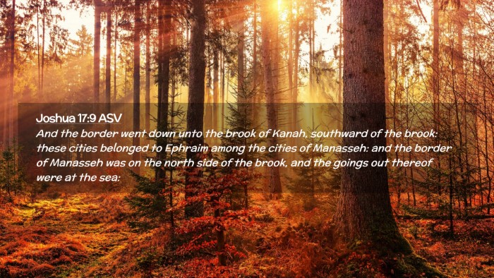 Picture 02 - Joshua 17:9 ASV Desktop Wallpaper - And the border went down unto the brook of Kanah, - Desktop Bible Verse Wallpaper