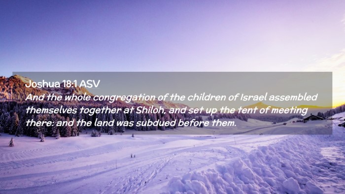 Picture 02 - Joshua 18:1 ASV Desktop Wallpaper - And the whole congregation of the children of - Desktop Bible Verse Wallpaper
