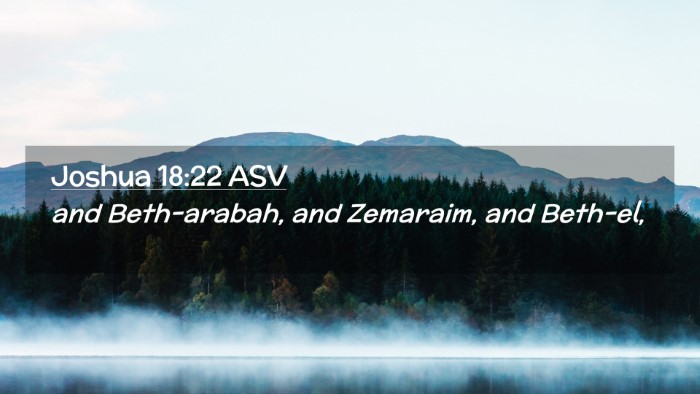 Picture 02 - Joshua 18:22 ASV Desktop Wallpaper - and Beth-arabah, and Zemaraim, and - Desktop Bible Verse Wallpaper