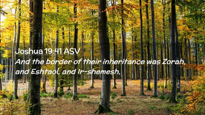 Picture 02 - Joshua 19:41 ASV Desktop Wallpaper - And the border of their inheritance was Zorah, - Desktop Bible Verse Wallpaper