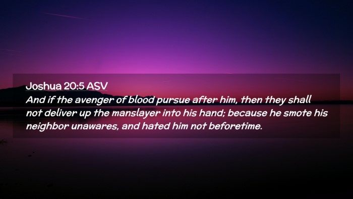 Picture 02 - Joshua 20:5 ASV Desktop Wallpaper - And if the avenger of blood pursue after him, - Desktop Bible Verse Wallpaper