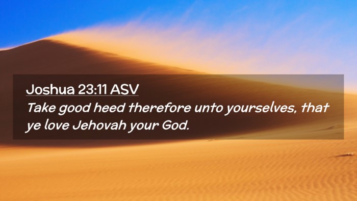 Picture 02 - Joshua 23:11 ASV Desktop Wallpaper - Take good heed therefore unto yourselves, that ye - Desktop Bible Verse Wallpaper