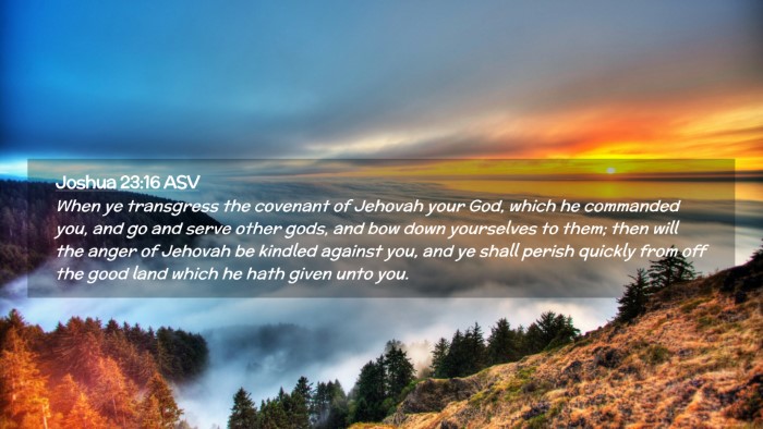 Picture 02 - Joshua 23:16 ASV Desktop Wallpaper - When ye transgress the covenant of Jehovah your - Desktop Bible Verse Wallpaper
