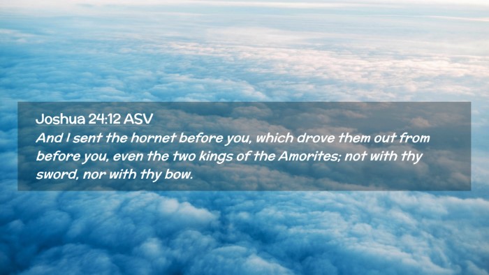 Picture 02 - Joshua 24:12 ASV Desktop Wallpaper - And I sent the hornet before you, which drove - Desktop Bible Verse Wallpaper