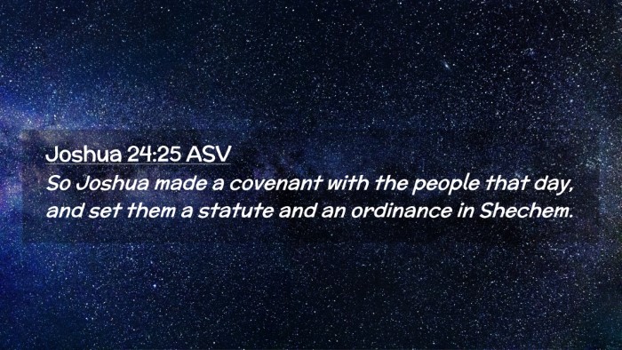 Picture 02 - Joshua 24:25 ASV Desktop Wallpaper - So Joshua made a covenant with the people that - Desktop Bible Verse Wallpaper