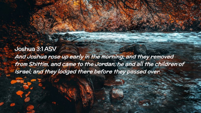 Picture 02 - Joshua 3:1 ASV Desktop Wallpaper - And Joshua rose up early in the morning; and they - Desktop Bible Verse Wallpaper