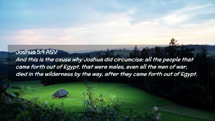 Picture 02 - Joshua 5:4 ASV Desktop Wallpaper - And this is the cause why Joshua did circumcise: - Desktop Bible Verse Wallpaper