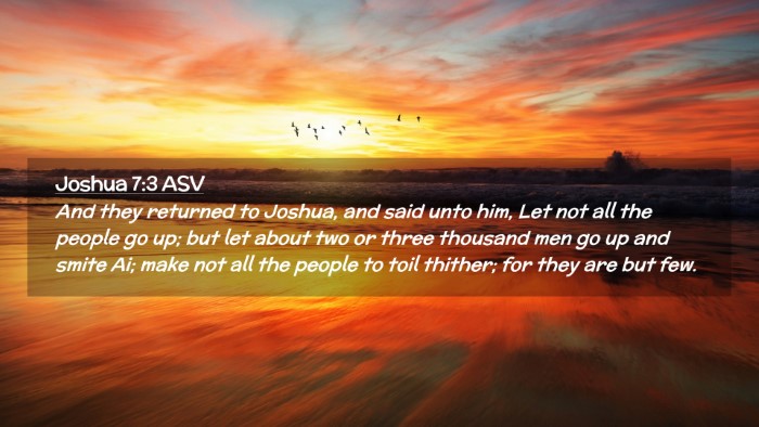 Picture 02 - Joshua 7:3 ASV Desktop Wallpaper - And they returned to Joshua, and said unto him, - Desktop Bible Verse Wallpaper