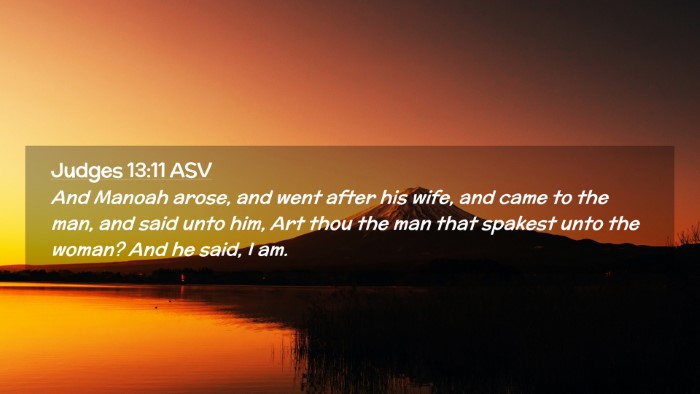 Picture 02 - Judges 13:11 ASV Desktop Wallpaper - And Manoah arose, and went after his wife, and - Desktop Bible Verse Wallpaper