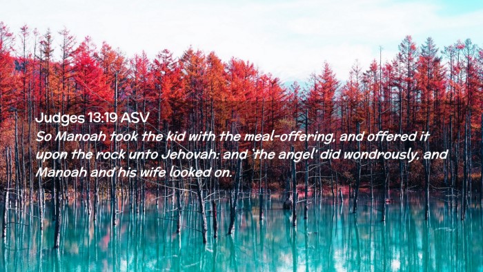 Picture 02 - Judges 13:19 ASV Desktop Wallpaper - So Manoah took the kid with the meal-offering, - Desktop Bible Verse Wallpaper