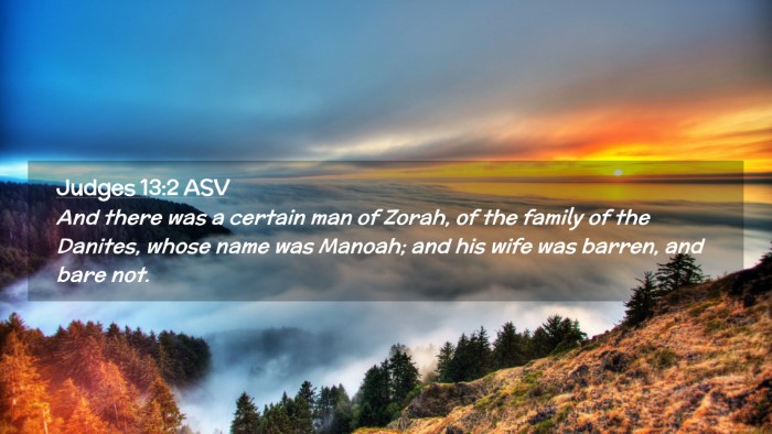 Picture 02 - Judges 13:2 ASV Desktop Wallpaper - And there was a certain man of Zorah, of the - Desktop Bible Verse Wallpaper