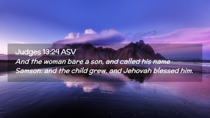 Picture 02 - Judges 13:24 ASV Desktop Wallpaper - And the woman bare a son, and called his name - Desktop Bible Verse Wallpaper