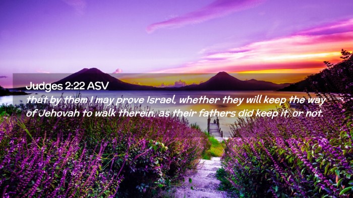 Picture 02 - Judges 2:22 ASV Desktop Wallpaper - that by them I may prove Israel, whether they - Desktop Bible Verse Wallpaper