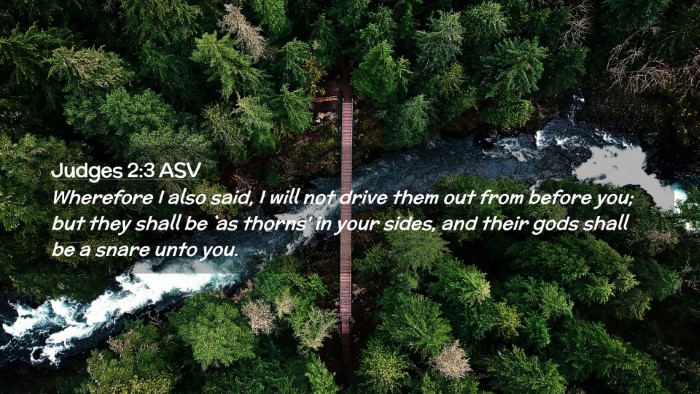Picture 02 - Judges 2:3 ASV Desktop Wallpaper - Wherefore I also said, I will not drive them out - Desktop Bible Verse Wallpaper