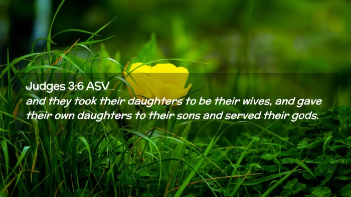 Picture 02 - Judges 3:6 ASV Desktop Wallpaper - and they took their daughters to be their wives, - Desktop Bible Verse Wallpaper