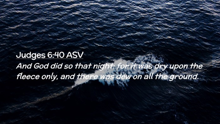 Picture 02 - Judges 6:40 ASV Desktop Wallpaper - And God did so that night: for it was dry upon - Desktop Bible Verse Wallpaper