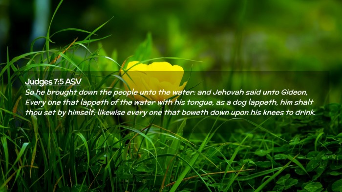 Picture 02 - Judges 7:5 ASV Desktop Wallpaper - So he brought down the people unto the water: and - Desktop Bible Verse Wallpaper